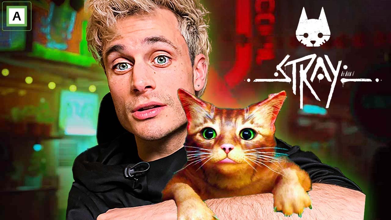 Klarer jeg å runde STRAY på EN LIVESTREAM?