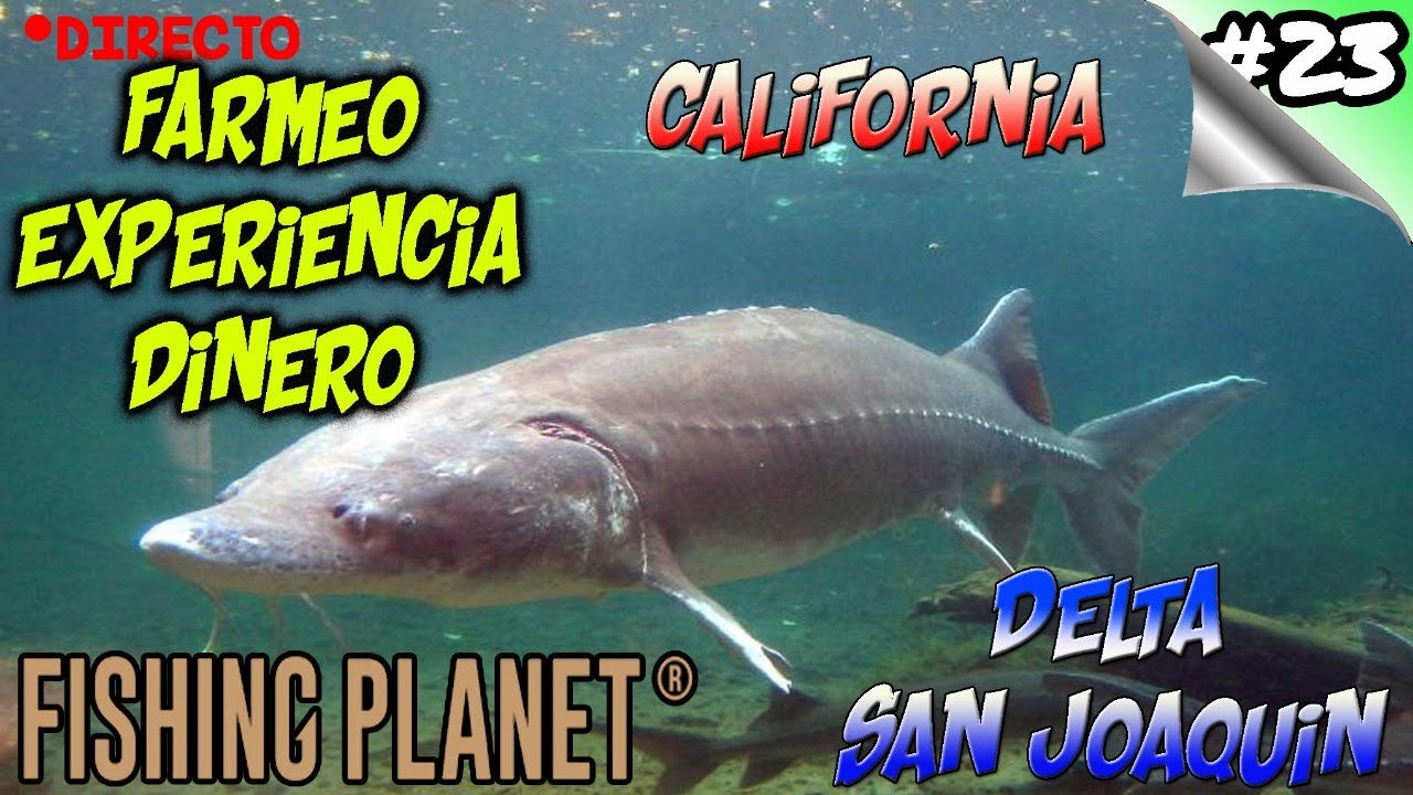 Fishing Planet #23 Delta San Joaquin / California - Esturion Blanco - Farmeo dinero y Exp - Español