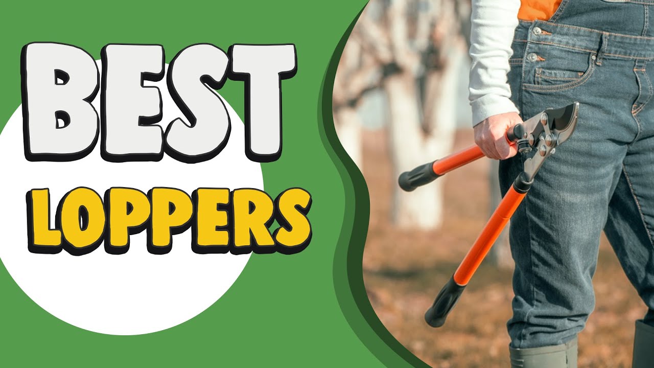 Best Loppers 2023 – We Recommend!