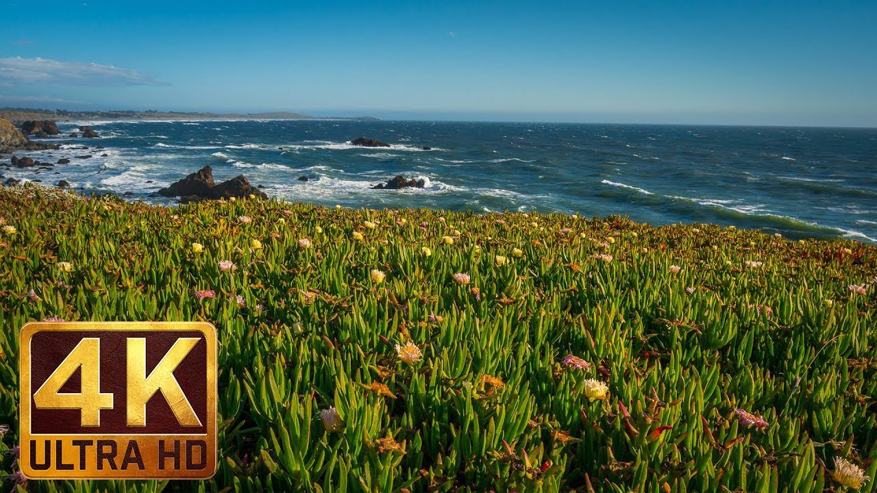 4K California Beach Fascinating Scenery | Kortum Trail, Sonoma Coast State Park - Trailer