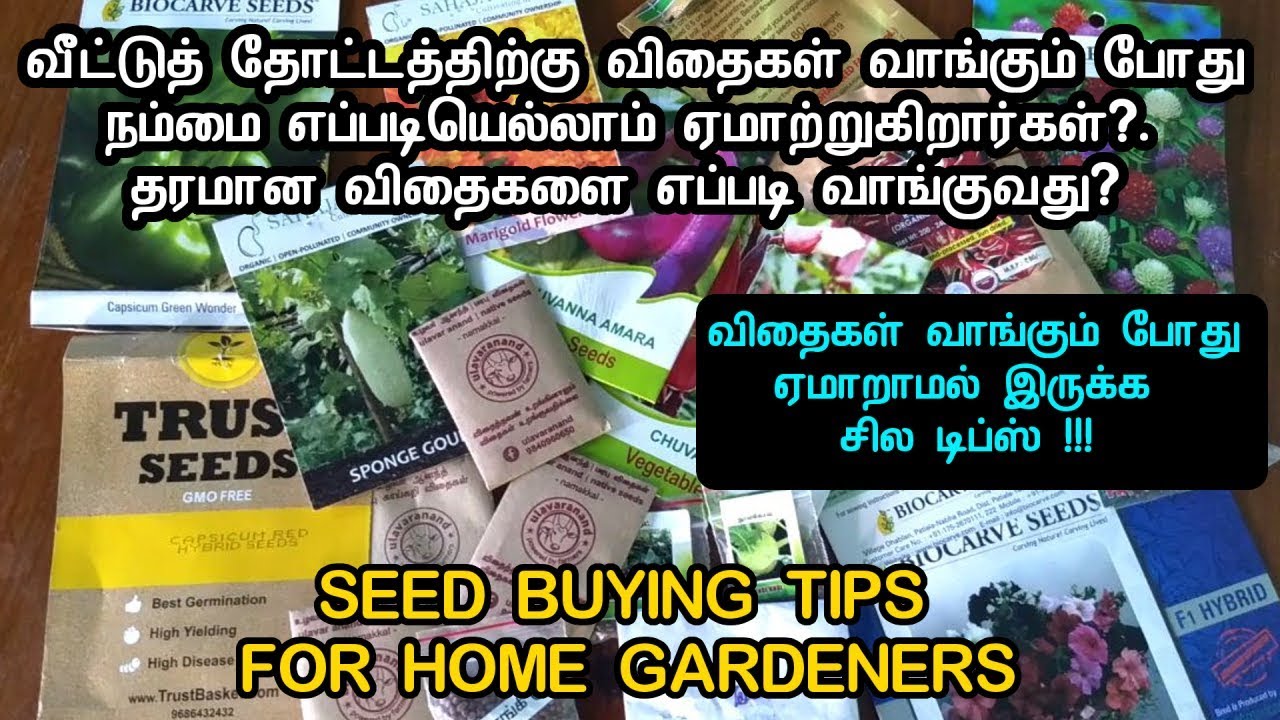 விதைகள் வாங்கும் போது நம்மை எப்படியெல்லாம் ஏமாற்றுகிறார்கள்?. தரமான விதைகளை எப்படி வாங்குவது?