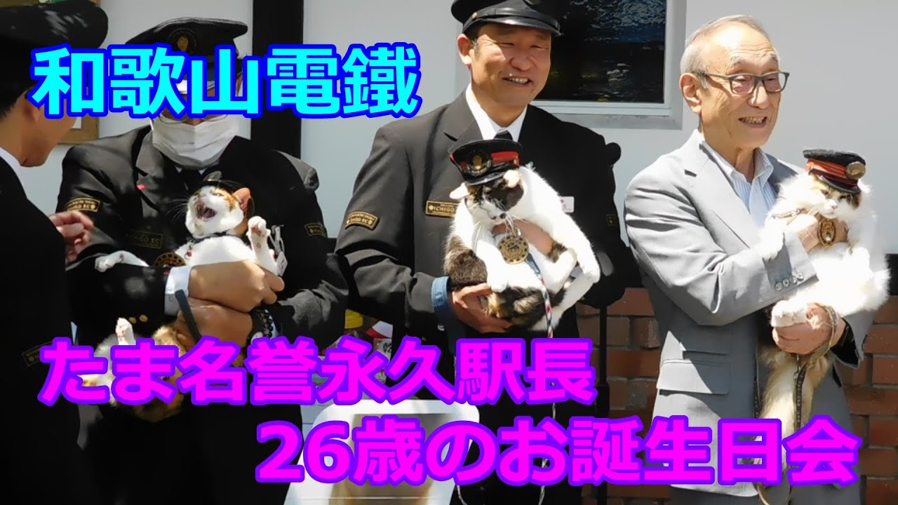 和歌山電鐵　たま名誉永久駅長 26歳のお誕生日催事