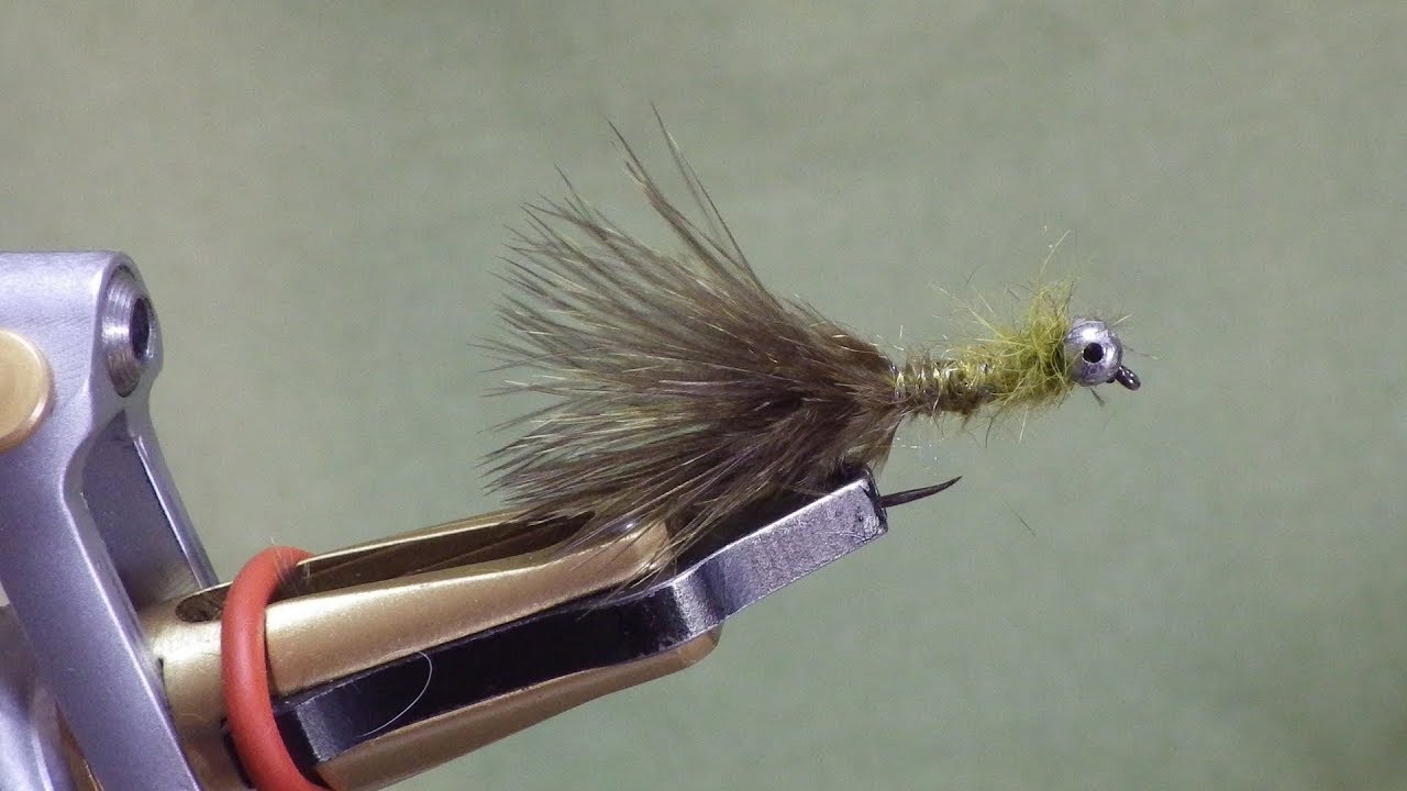 Montage d'une olive damsel (larve de libellule)