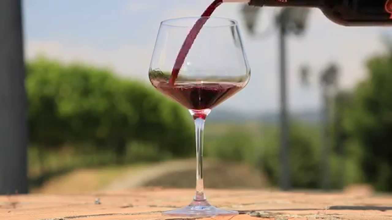 Xinomavro, the noble variety