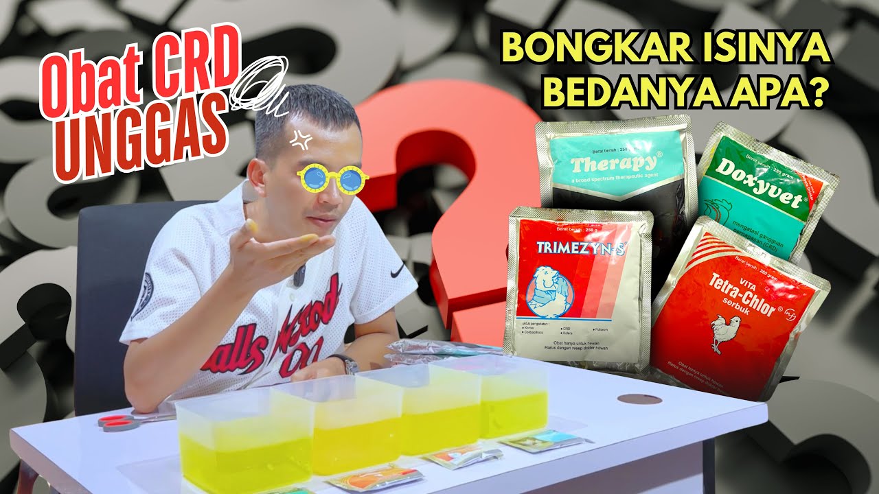 CRD CEKREK PILEK NGOROK BINGUNG?? | KOMPARASI OBAT CRD DOXYVET, TETRA CHLOR, TRYMEZYN-S, THERAPY