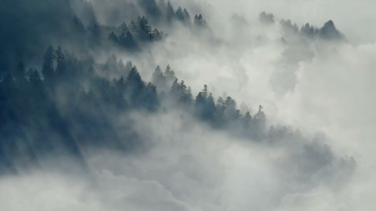 mitigation video