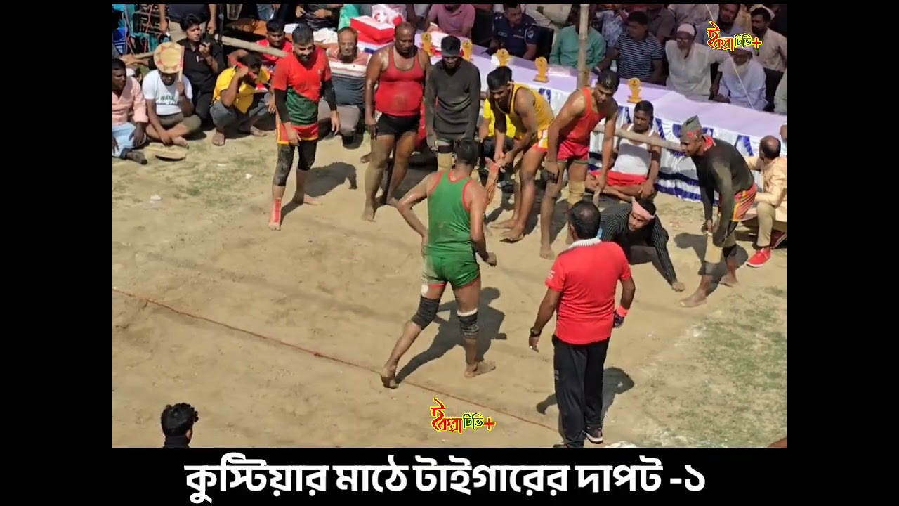 কুস্টিয়ার মাঠে টাইগারের দাপট  - ১