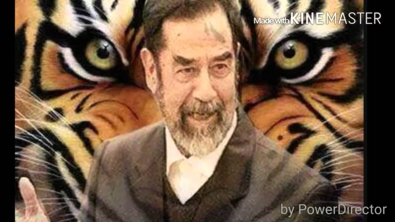 راح الزعيم ألي علينا خسارة تصميم بوأمل الشحي