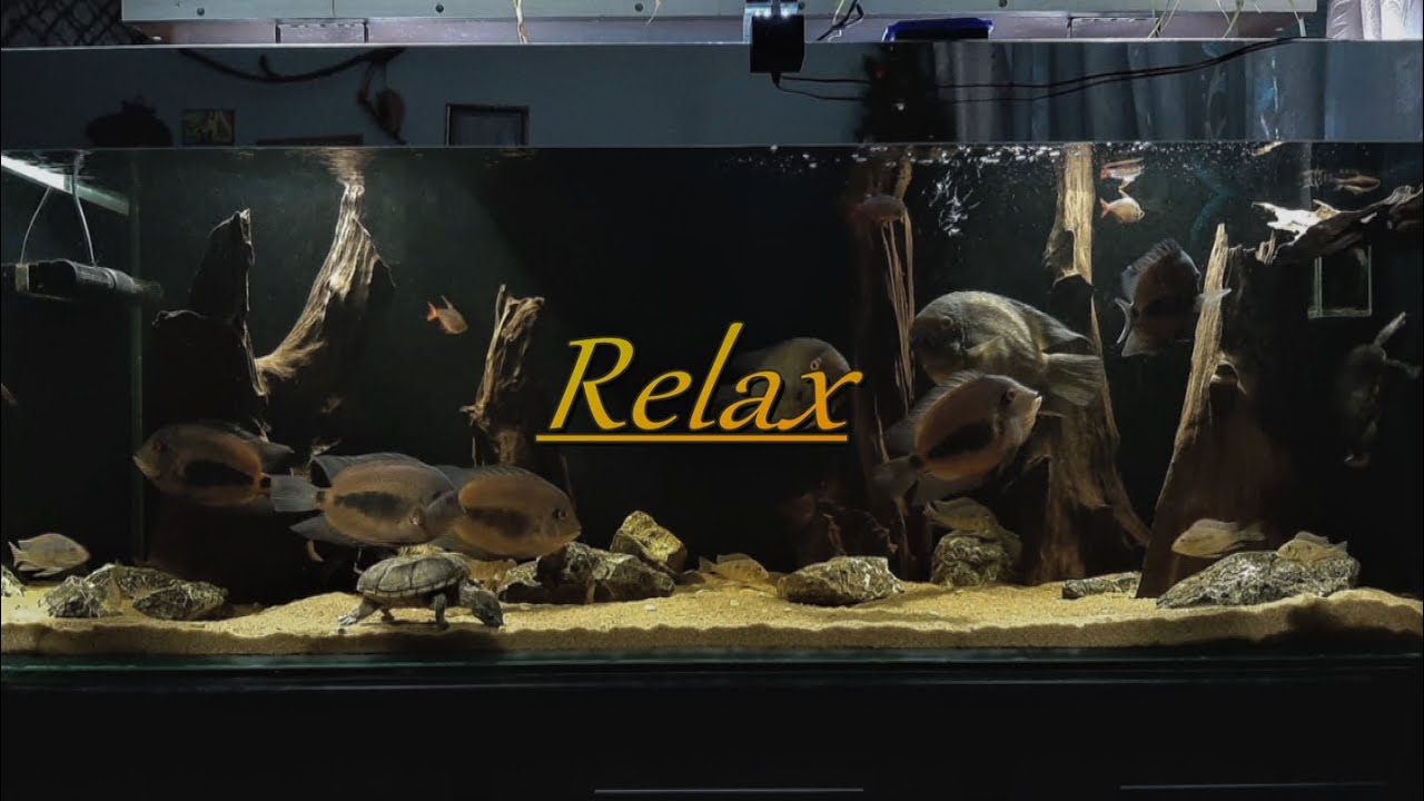 Relax