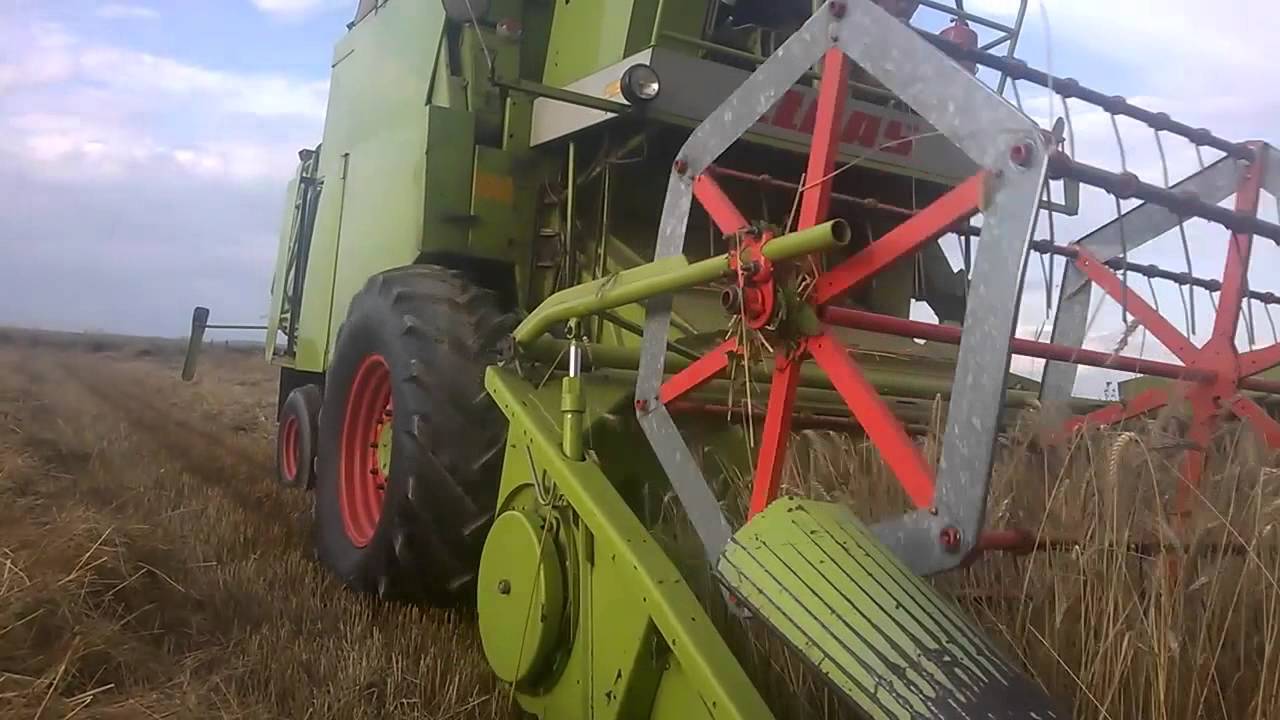 Żniwa 2015! #Claas Mercator 50#