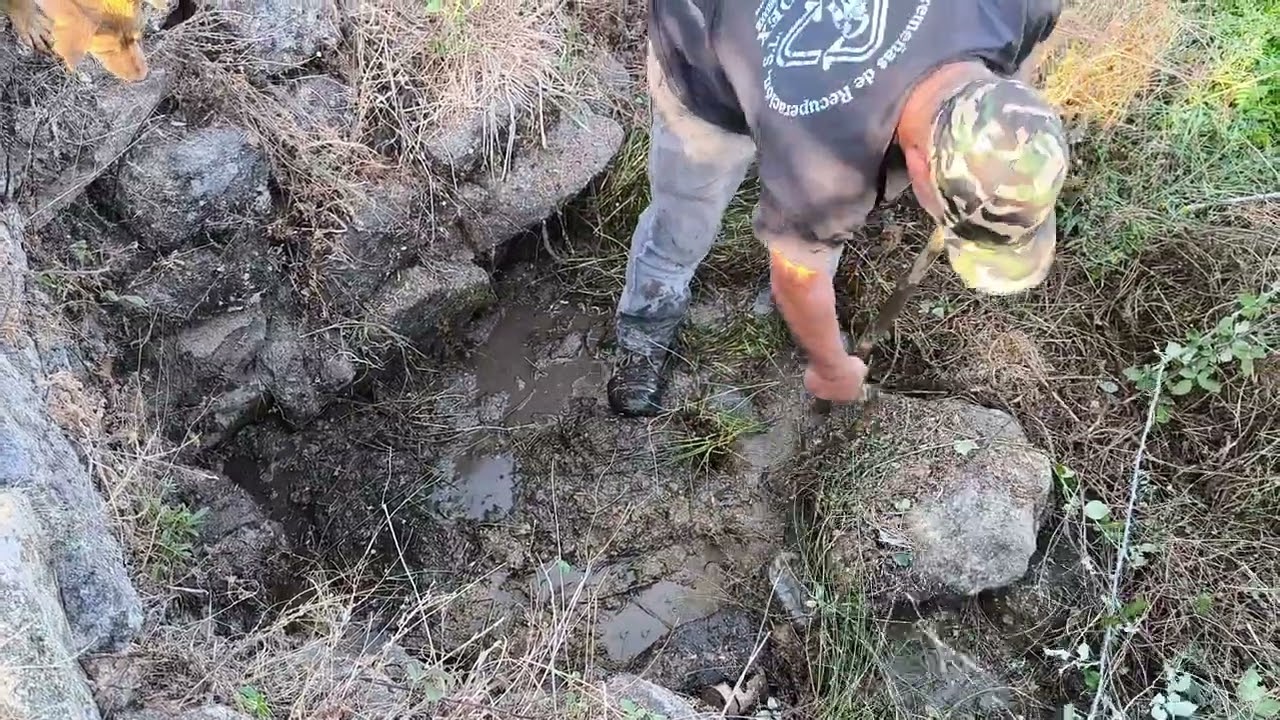 Recuperando la fuente de los perros, mirar qué fauna hay paquí