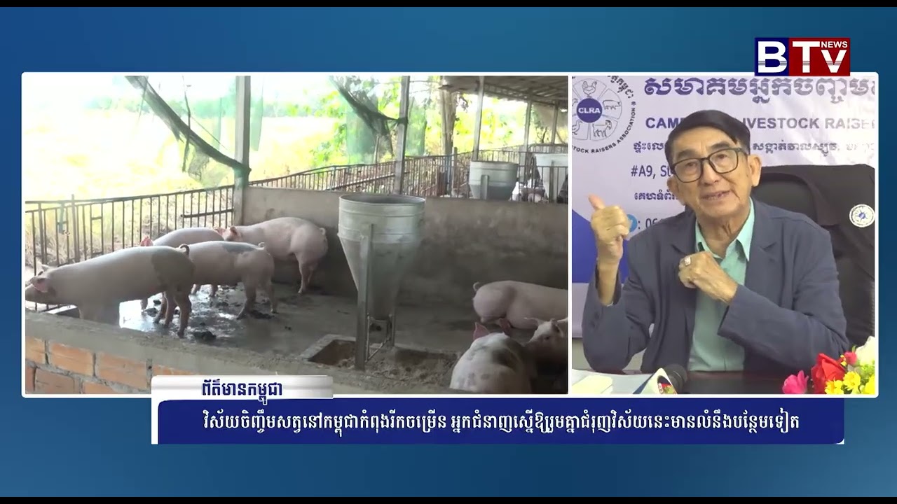 វិស័យចិញ្ចឹមសត្វនៅកម្ពុជាកំពុងរីកចម្រើន អ្នកជំនាញស្នើឲ្យរួមគ្នាជំរុញវិស័យនេះមានលំនឹងបន្ថែមទៀត