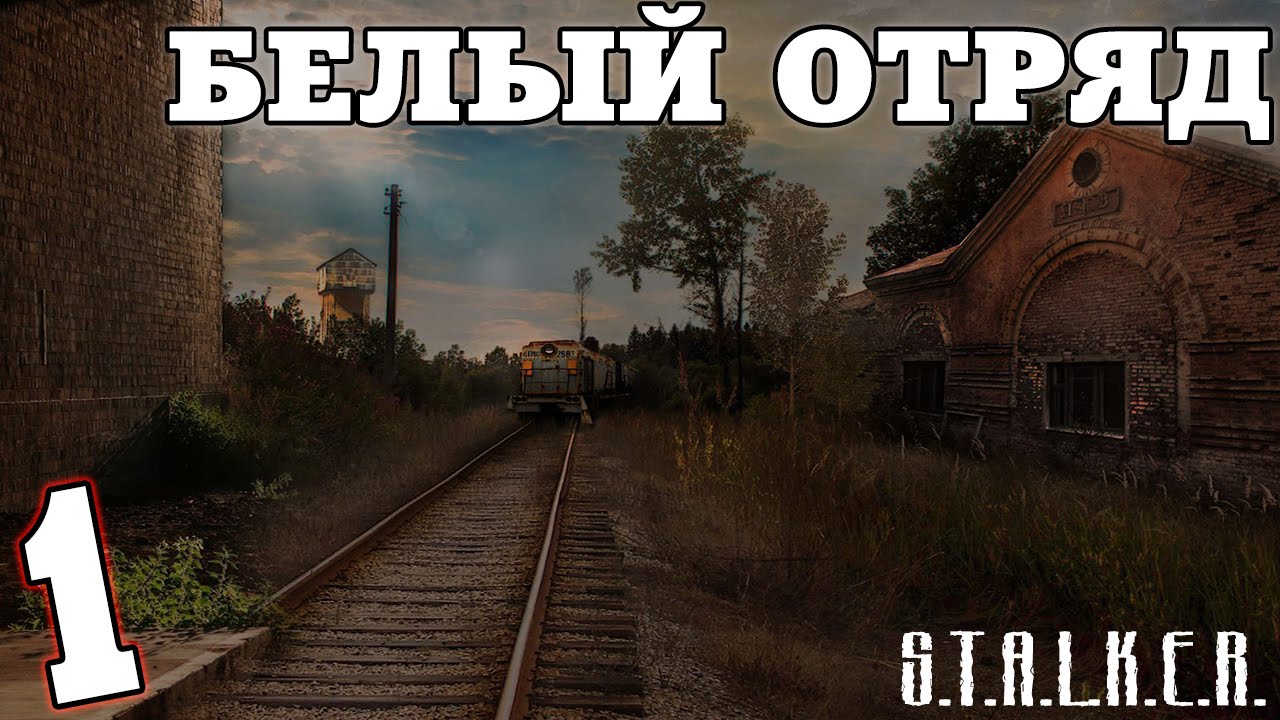 S.T.A.L.K.E.R. Белый Отряд #1. Начало