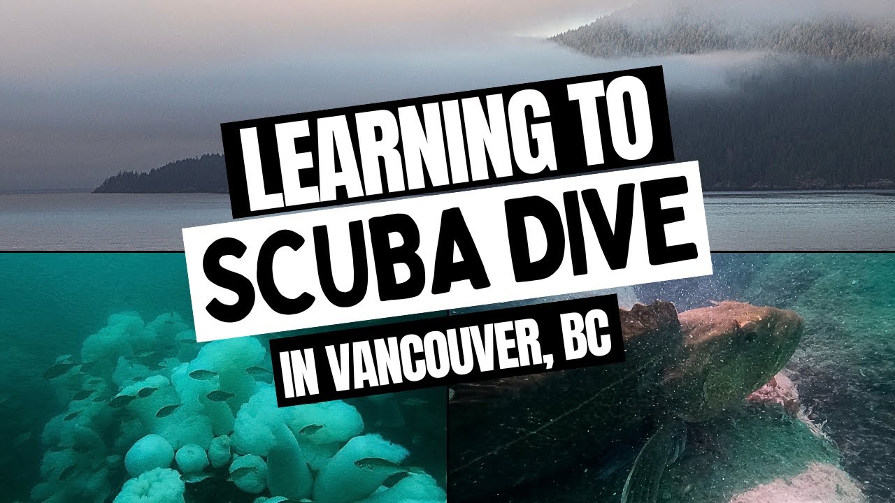 The Best SCUBA Training in Vancouver, BC #britishcolumbia #diving