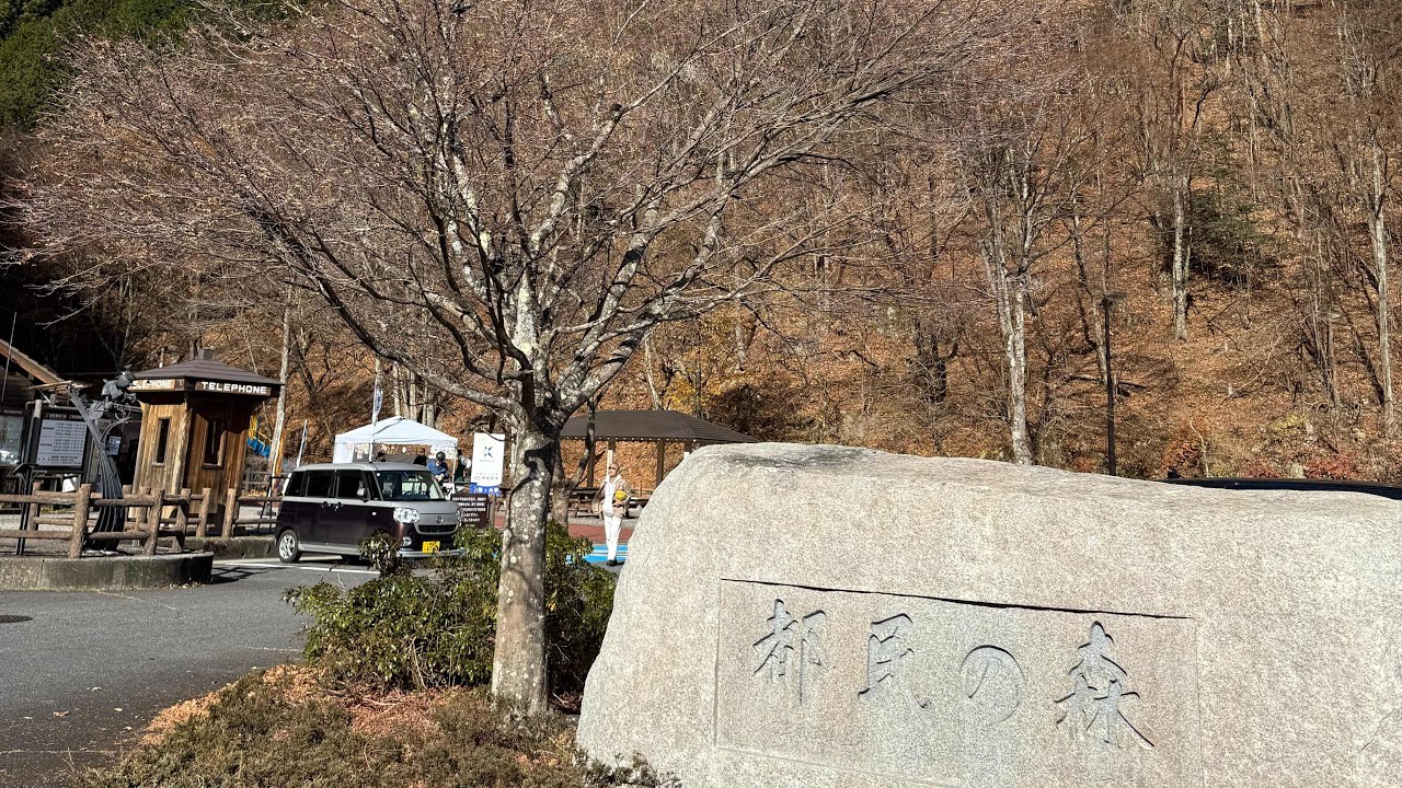 檜原村紅葉散歩🍁