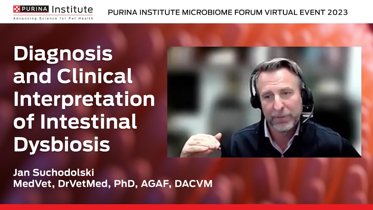Diagnosis and clinical interpretation of intestinal dysbiosis | Microbiome Forum 2023