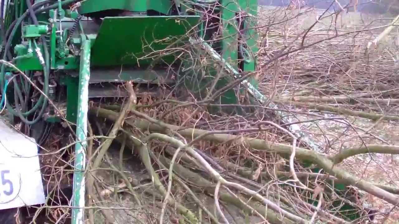 Holzhäcksler Eigenbau der Geb. Schwienhorst Schwieni