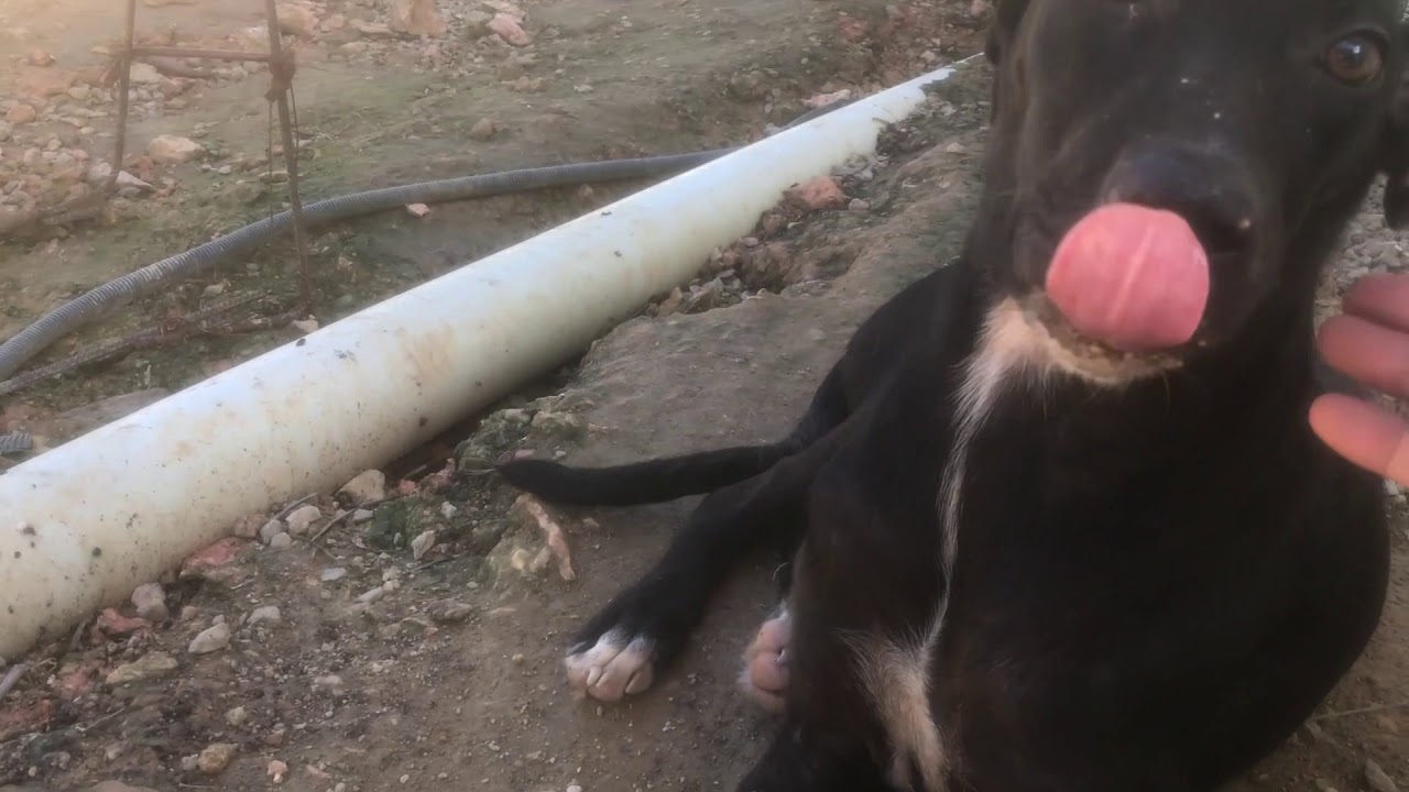 HeathCliff Decompression