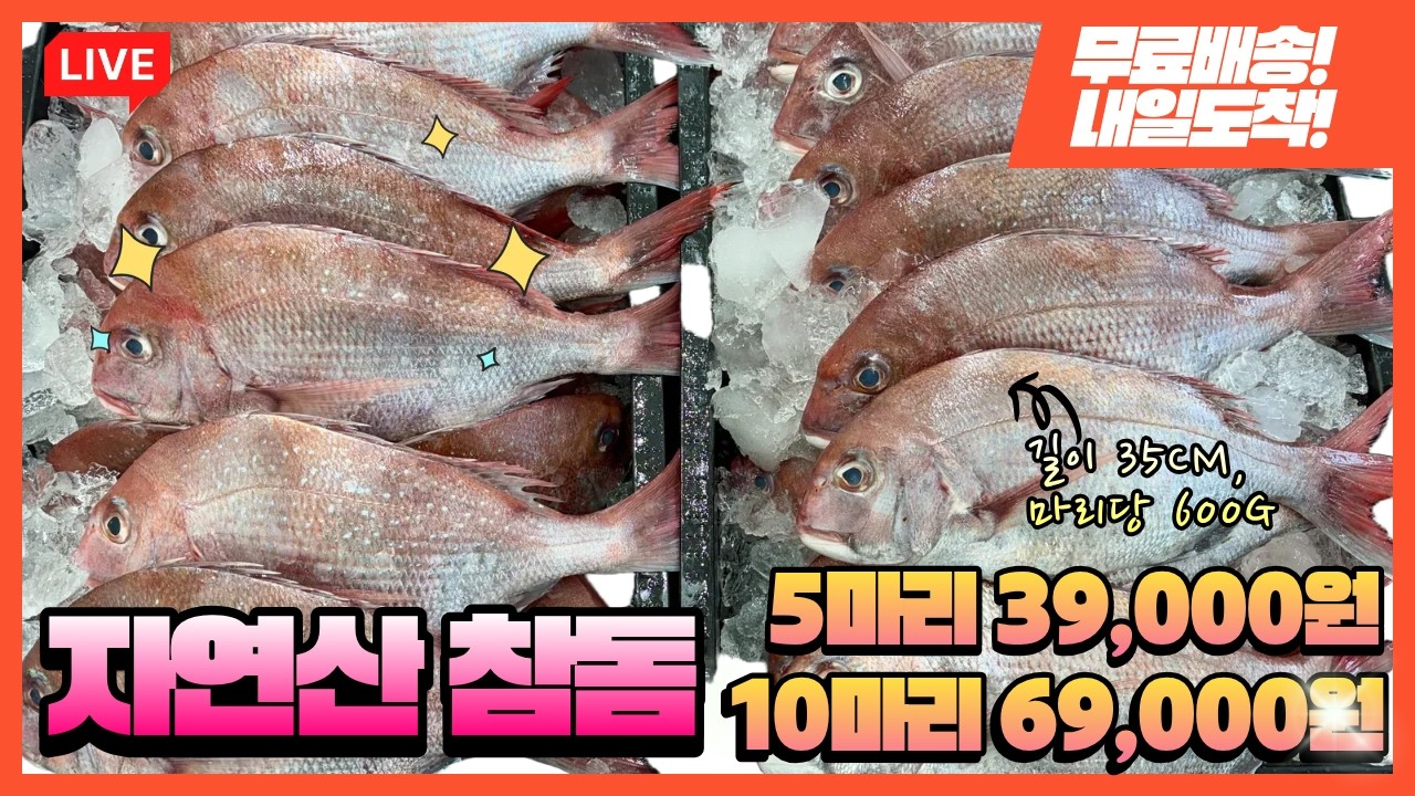 3월 24일(화)🐟 #자랭이병어 #참돔 #가자미 #대갈치 #밴댕이 #반건조우럭 #반건조민어 #목포생선 #수산물택배 #freshfish #seafood