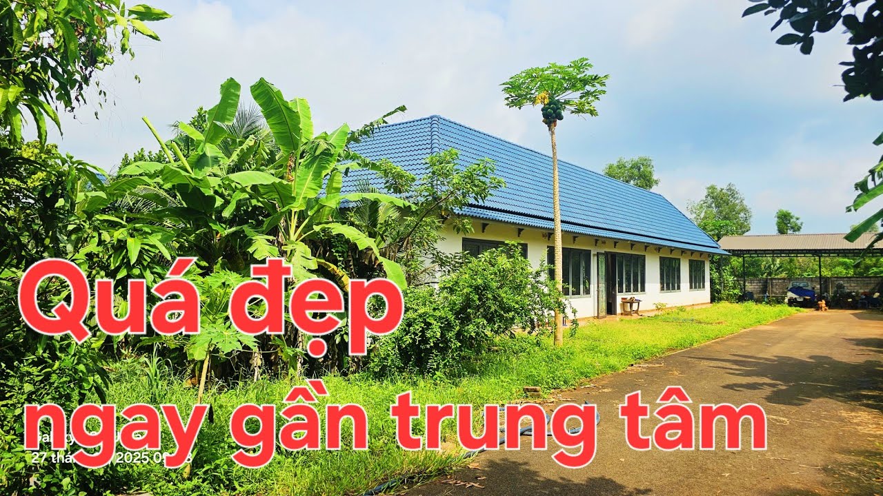 Biệt thự vườn đầy đủ cây trái,sát bên trung tâm mà giá thì quá hợp lý