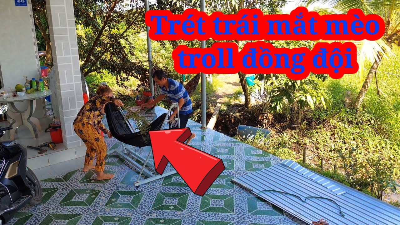 Cô 3 chơi lớn trét Trái Mắt Mèo lên võng troll Phước lầy và Cậu 7 #phuoclay