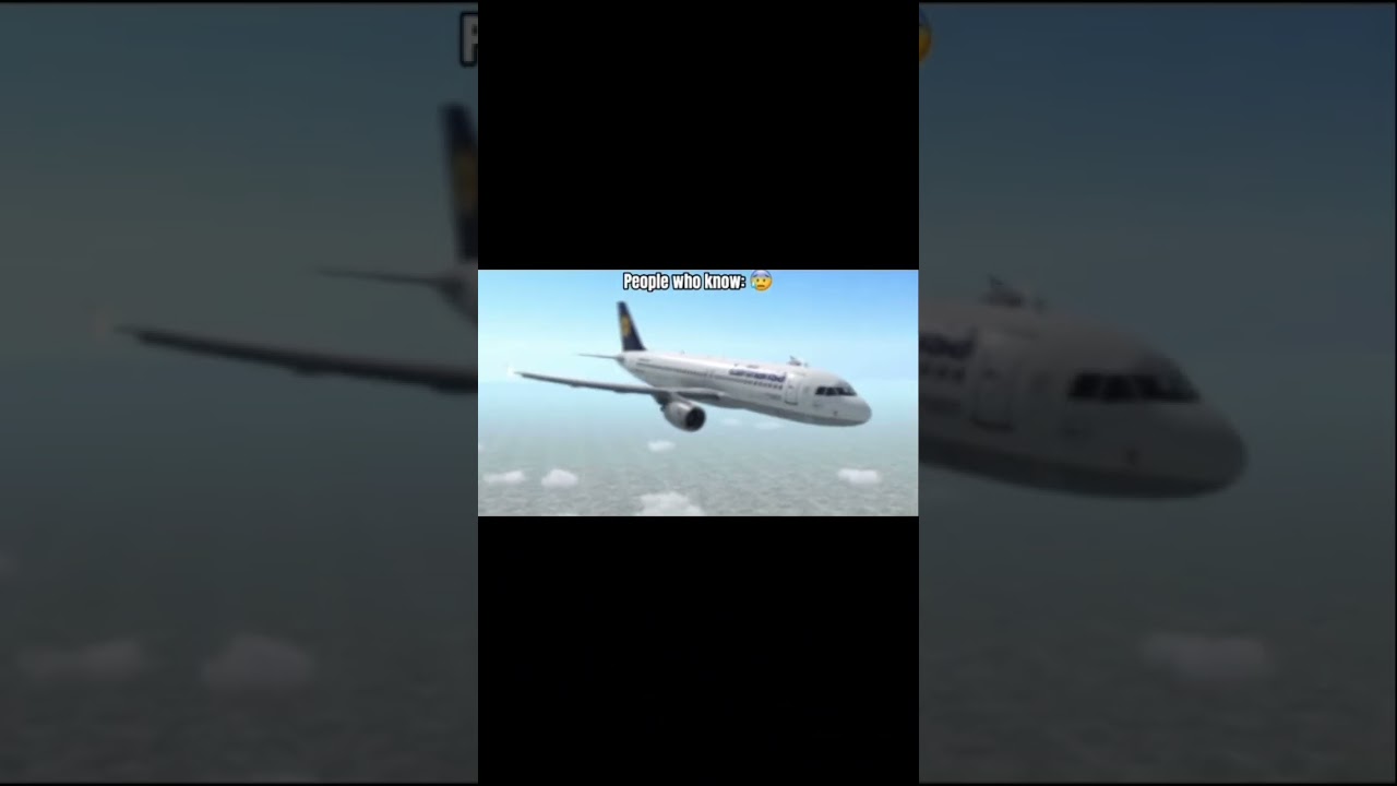 Lufthansa flight 2904 @rokhimsujatmiko8863 #aircrafthistory #airline #airlinehistory #1993