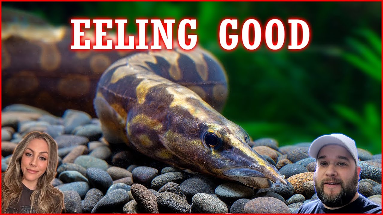 Community Tanks: Like a Soap Opera&hellip; but Wetter