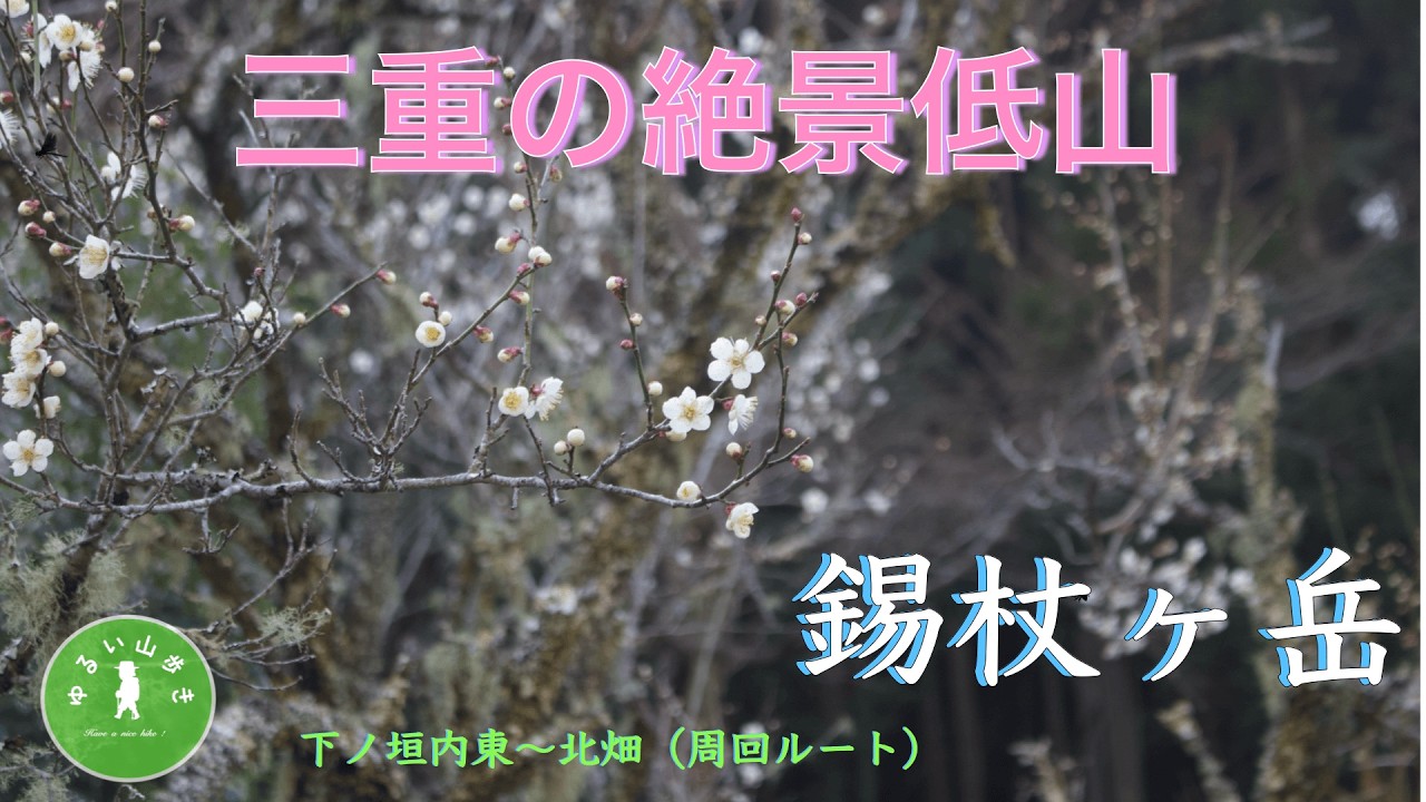 三重の絶景低山！錫杖ヶ岳に登ってみた【初心者でも登れる名山】