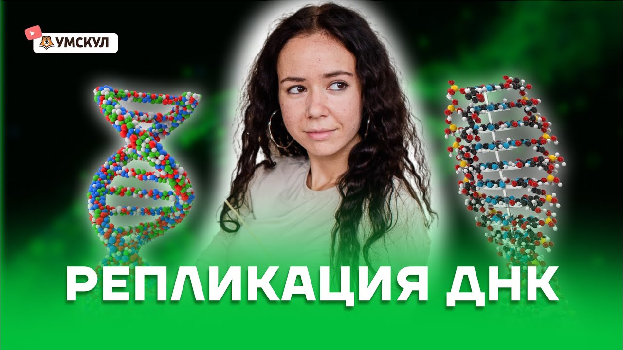 Репликация ДНК | Биология ЕГЭ 2022 | Умскул