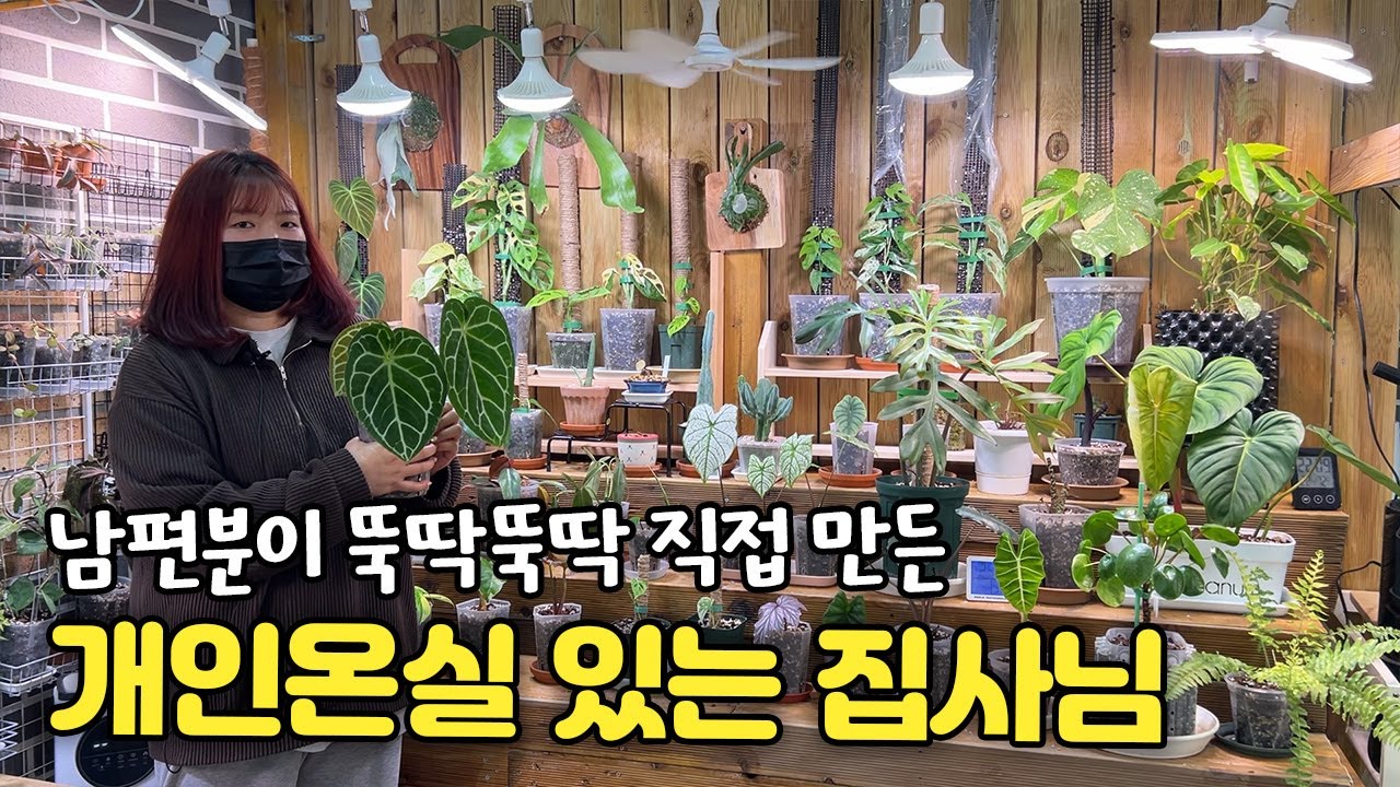 식집사들의 로망, 개인 온실에서 희귀식물 키우는 집사님(식물에 이름까지 지어줌)