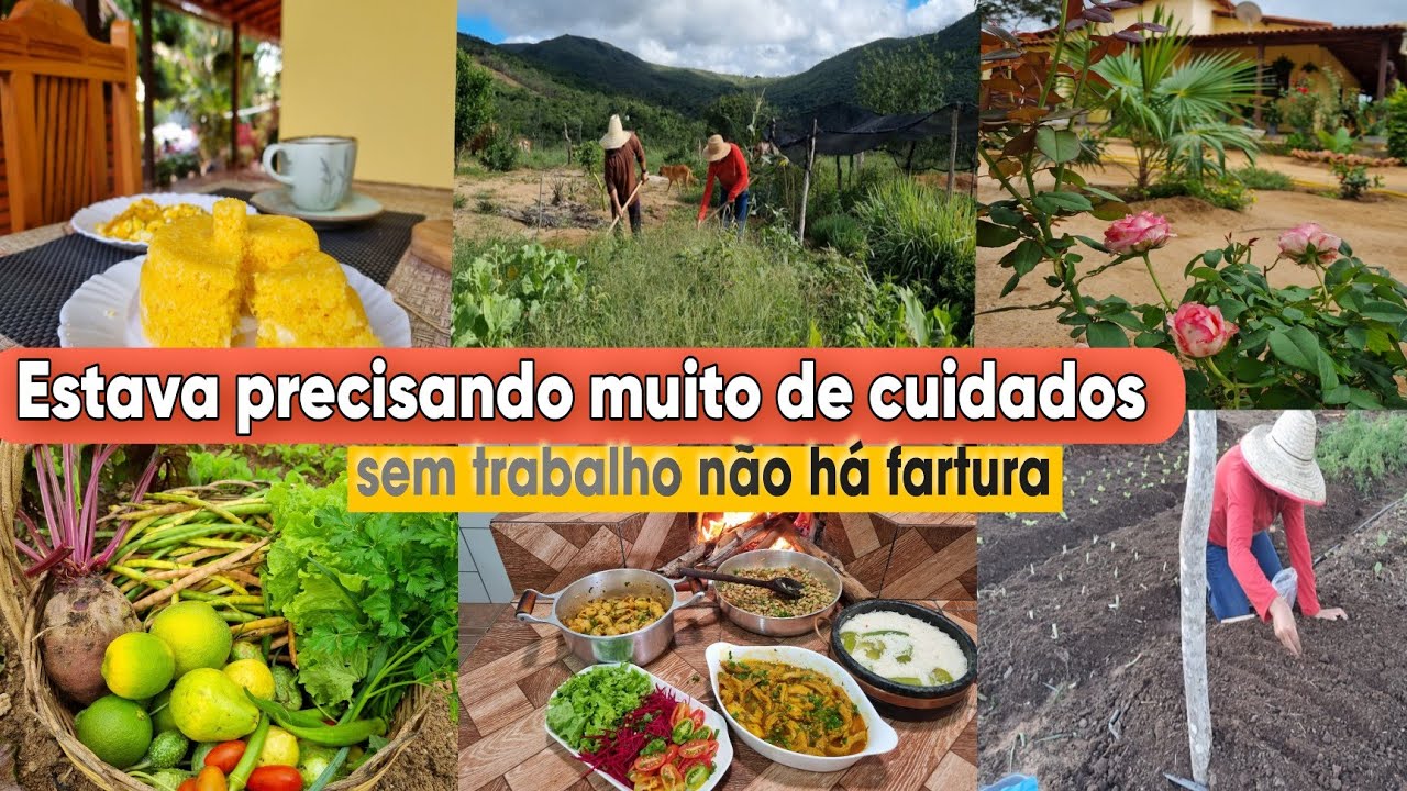 De MADRUGADA até a TARDE na lida/ muito SERVIÇO aqui na roça/  cuidados e colheita na horta/ almoço