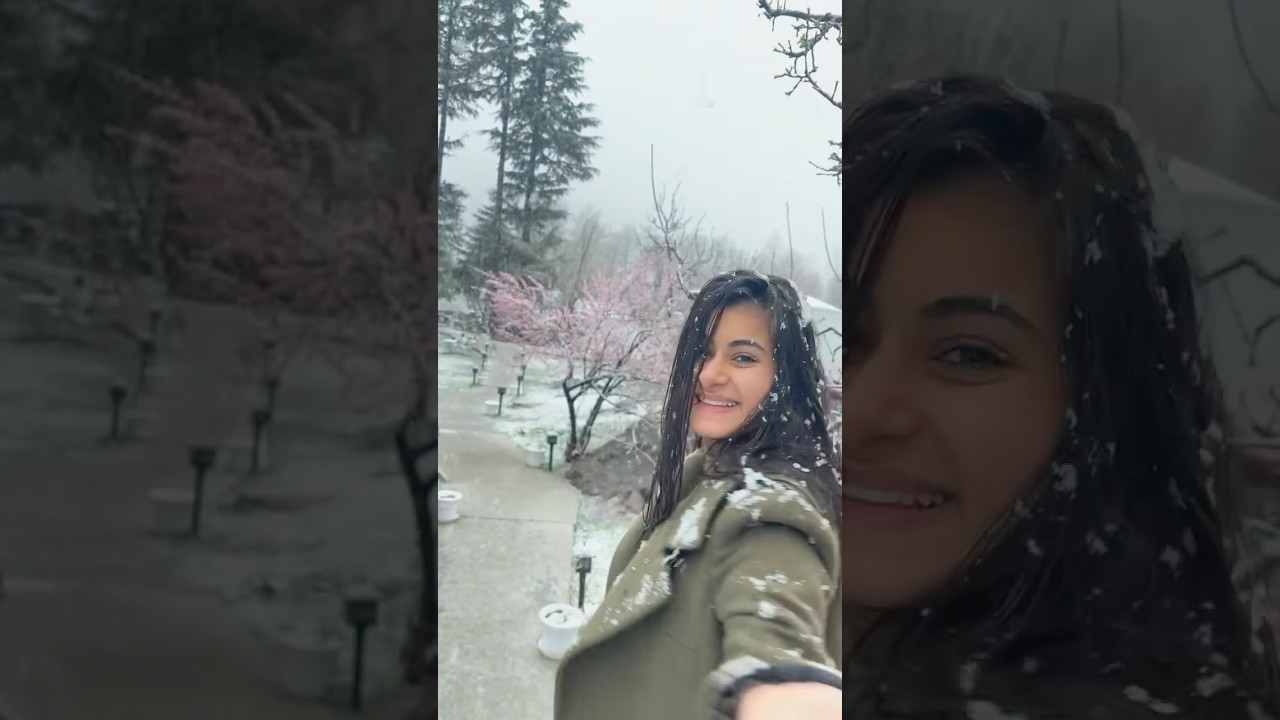 Manali right now ❄️Winters came early #snow #manali #himachalpradesh #winter #shortsvideo #shorts