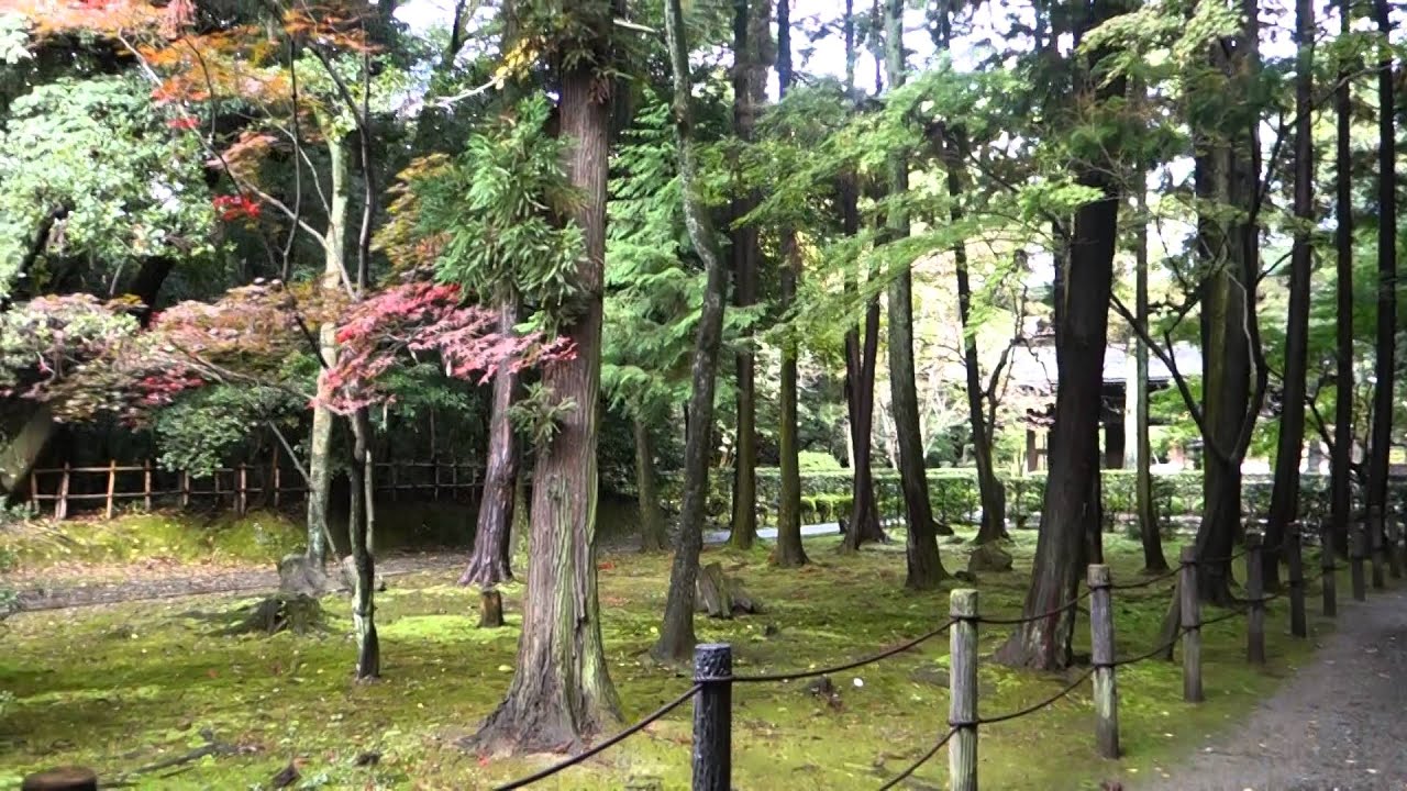 Myokoji Temple in Ichinomiya City