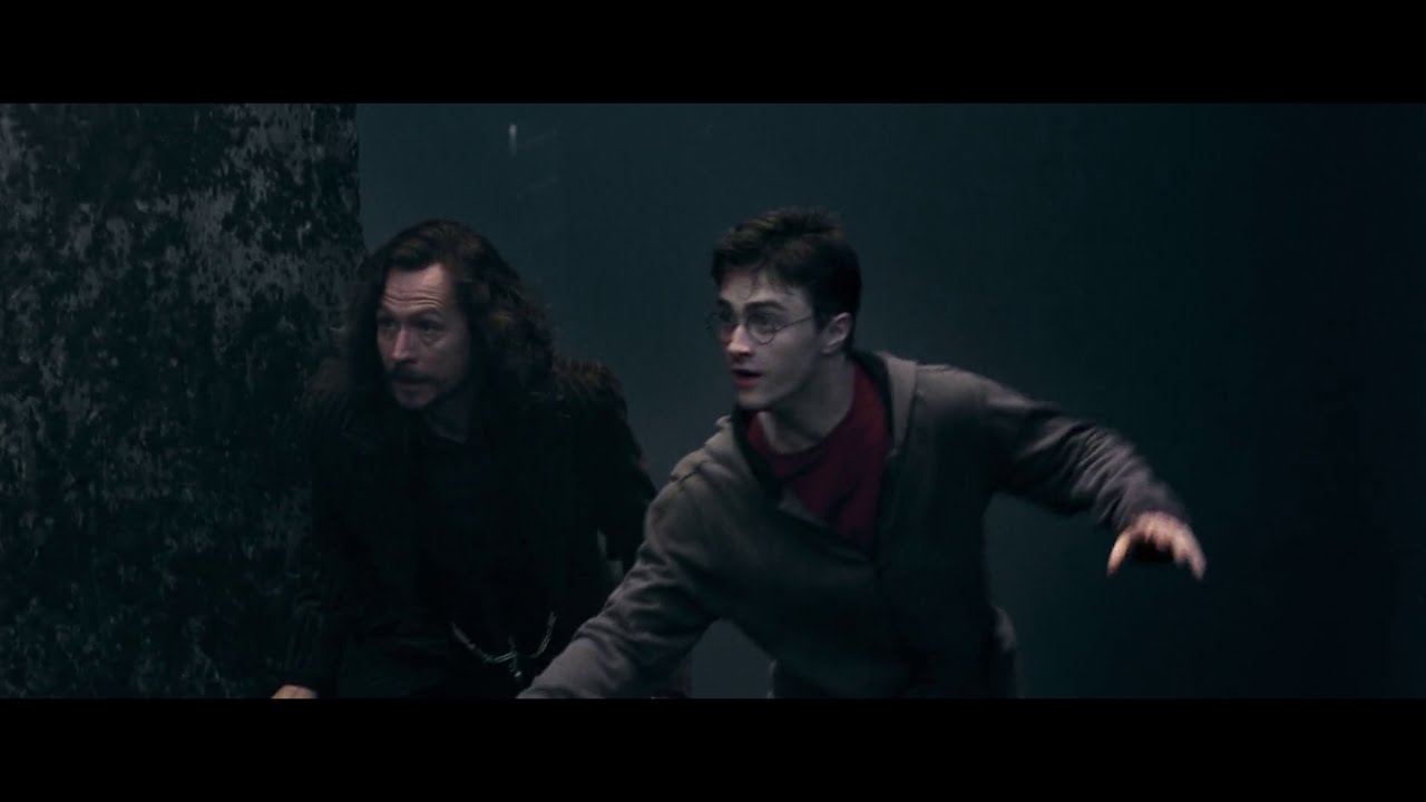 Harry Potter - Hedwig's Theme (Riwall Harjay Remix)