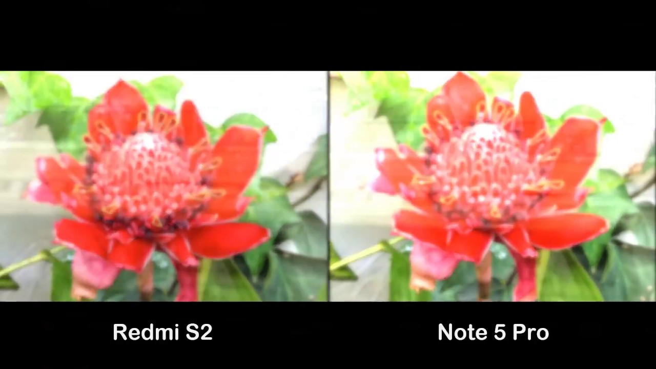 Xiaomi Redmi S2 Vs Redmi Note 5 Pro  | Camera Test Comparison