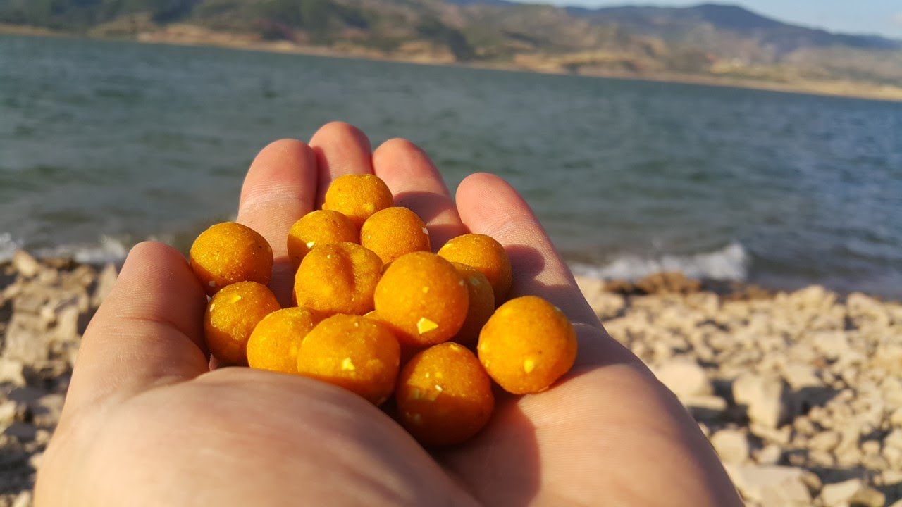 🆕 🎣 🐟  SAZAN İÇİN -TAKIM YEMİ- KOKULU BOİLİ YAPIMI ?
