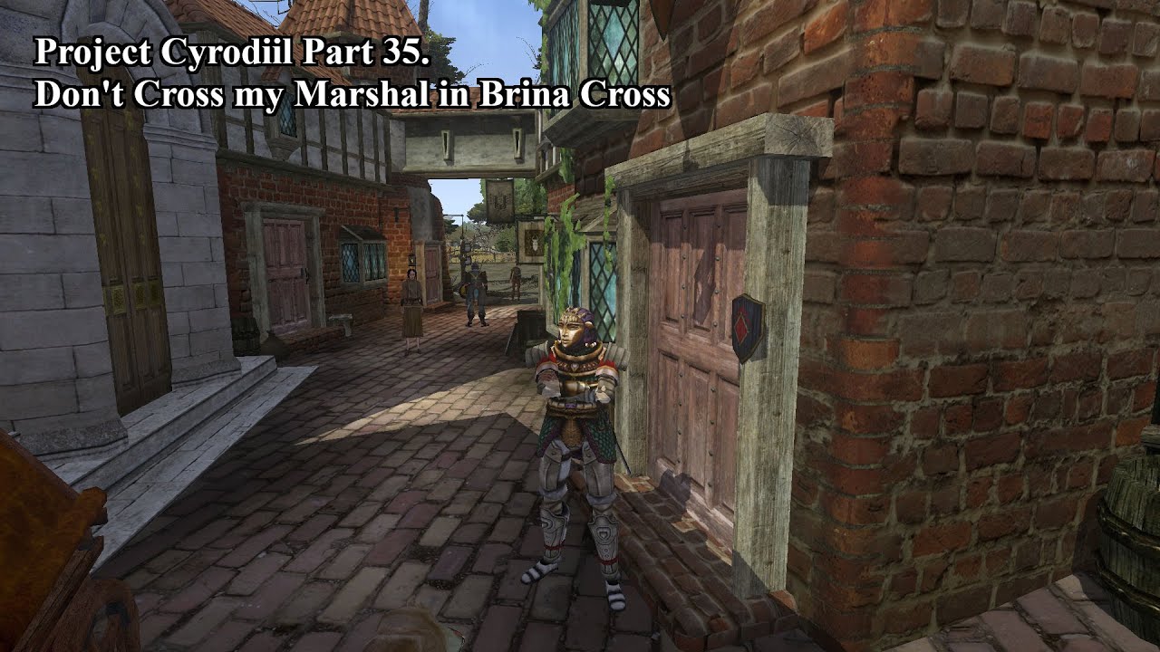 Project Cyrodiil: Part 36. Don't cross the marshal of Brina Cross