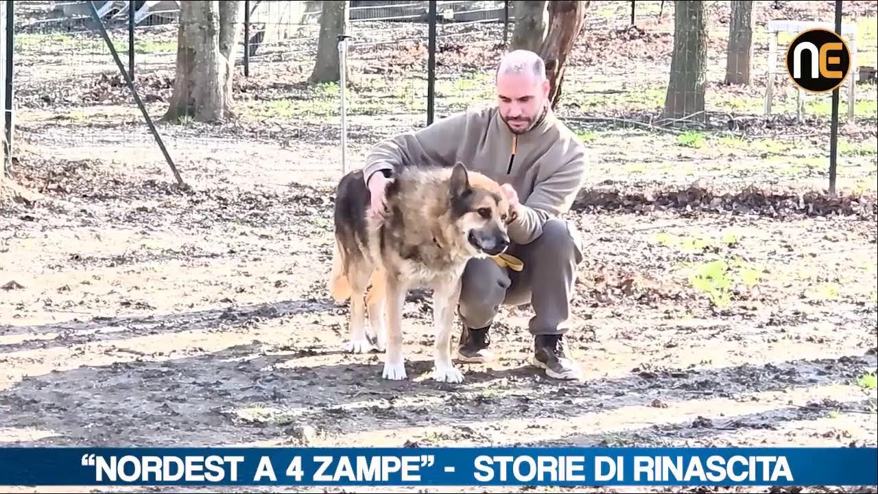 Nuova tappa per “Nordest24 a 4 Zampe”: La Cuccia Onlus