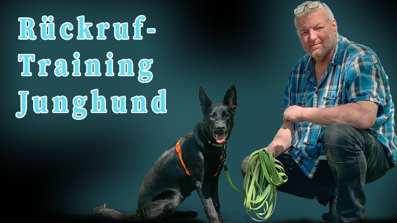 R&uuml;ckruftraining Hund - Sicherer R&uuml;ckruf durch Orientierung am Menschen