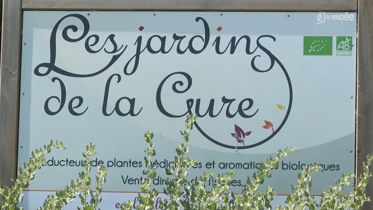 Le jardin de la Cure