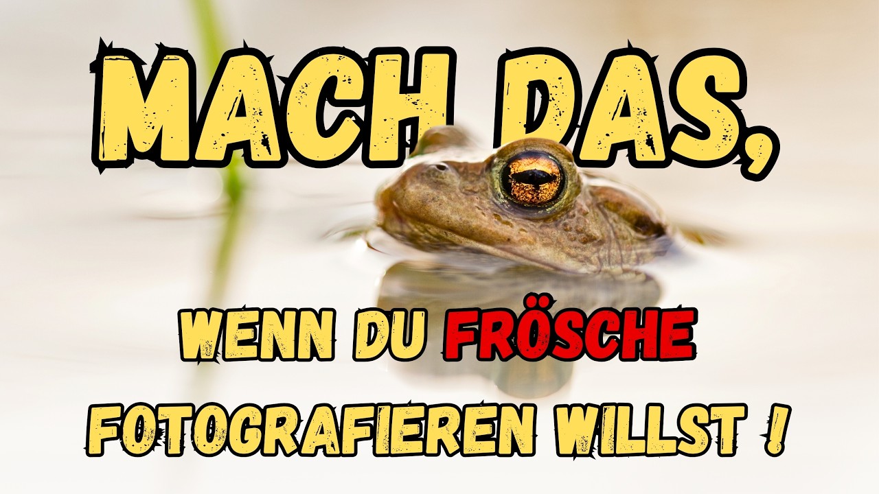 Grasfrosch, Erdkröte und Co., so gelingen dir super Aufnahmen