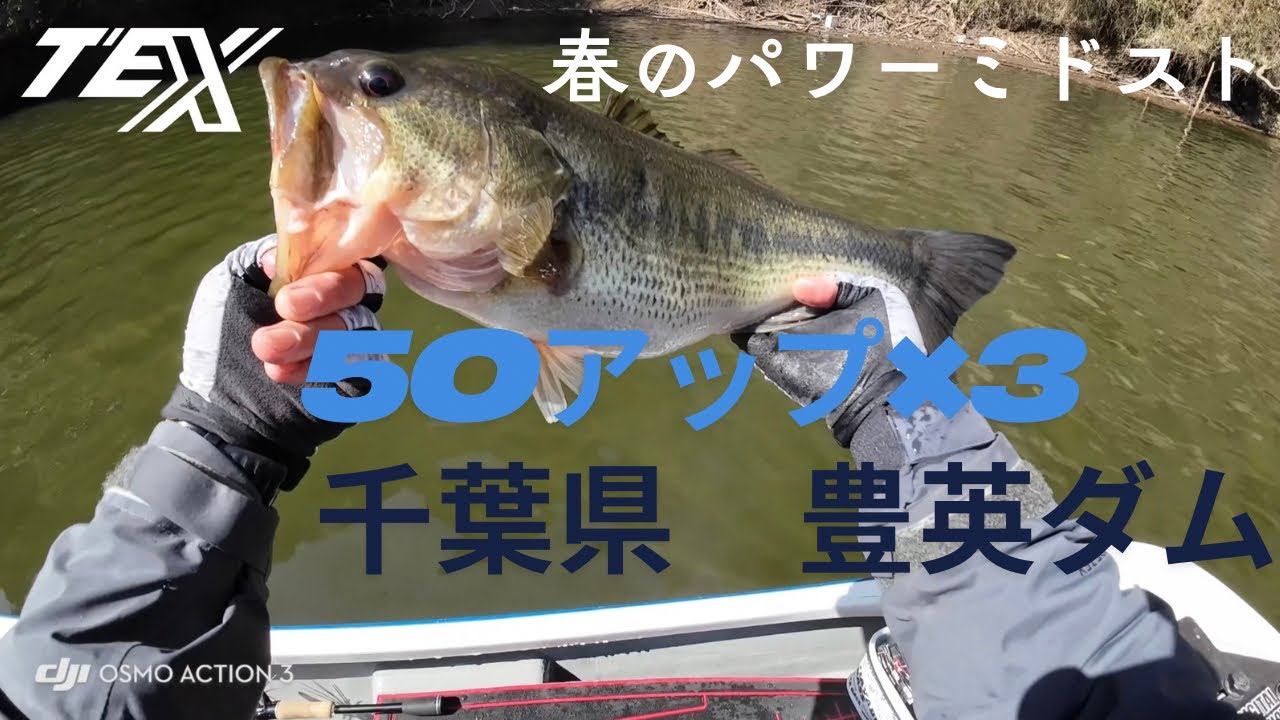 【房総リザーバー】千葉県豊英ダムで50アップ✖️3 パワーミドスト炸裂！