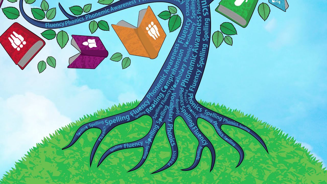 The Five Strands of Reading - 2015 Master Teacher Training, Part 1 #logicofenglish #scienceofreading