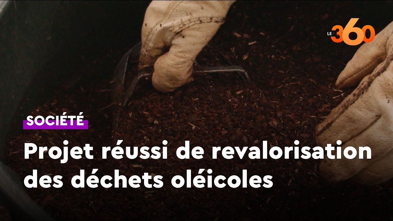 A Chichaoua, un projet réussi de valorisation des déchets oléicoles