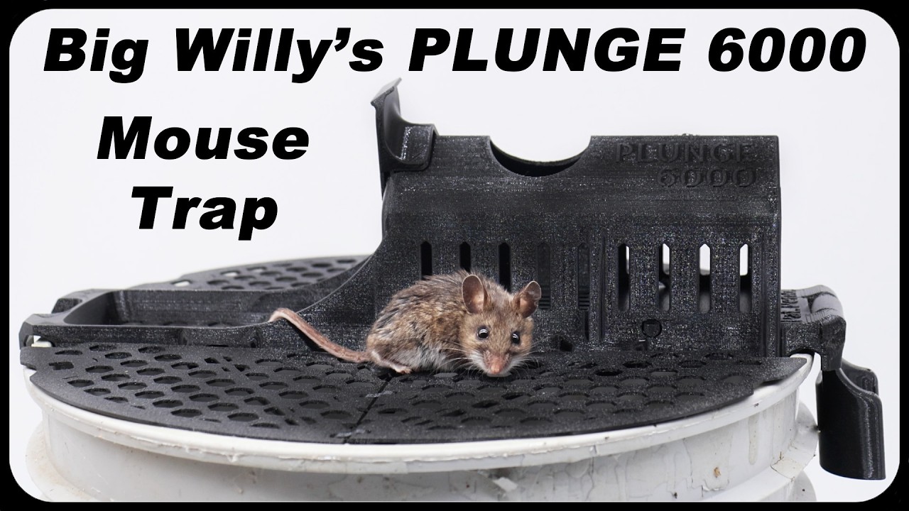 BIG WILLIE'S Plunge 6,000 Amazing Mouse Trap. Mousetrap Monday
