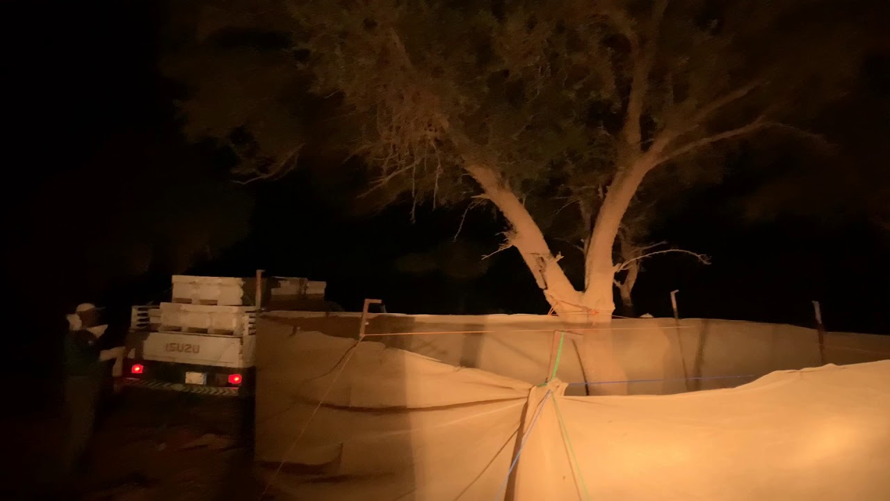 نقل وترحيل خلايا النحل لمراعي أودية الطلح