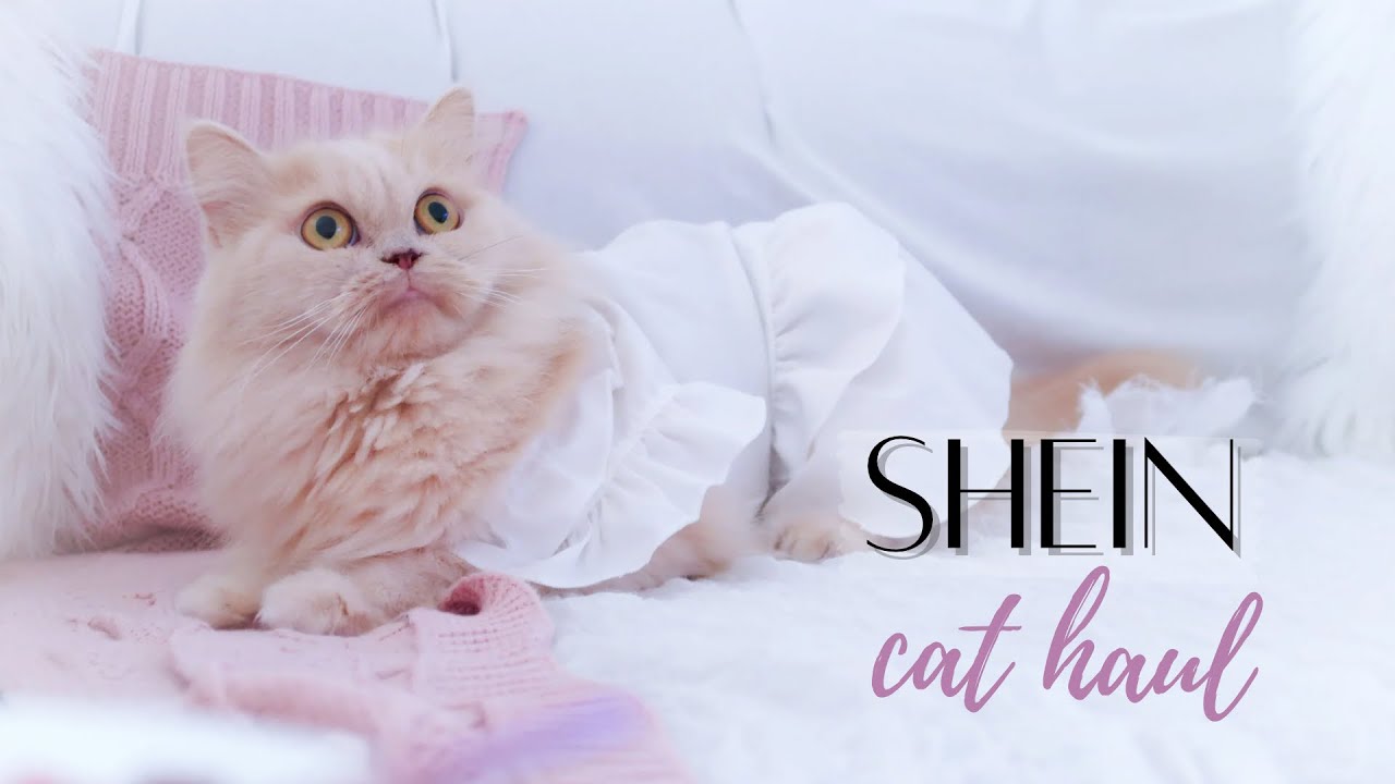 مشتريات للـقطط من شي ان | Shein Haul