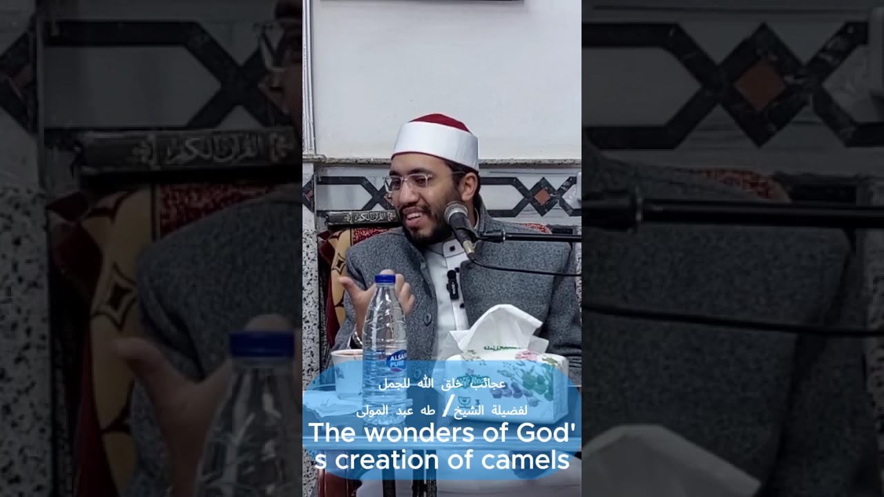 @The wonders of God's creation of camelsعجائب خلق الله للجمل