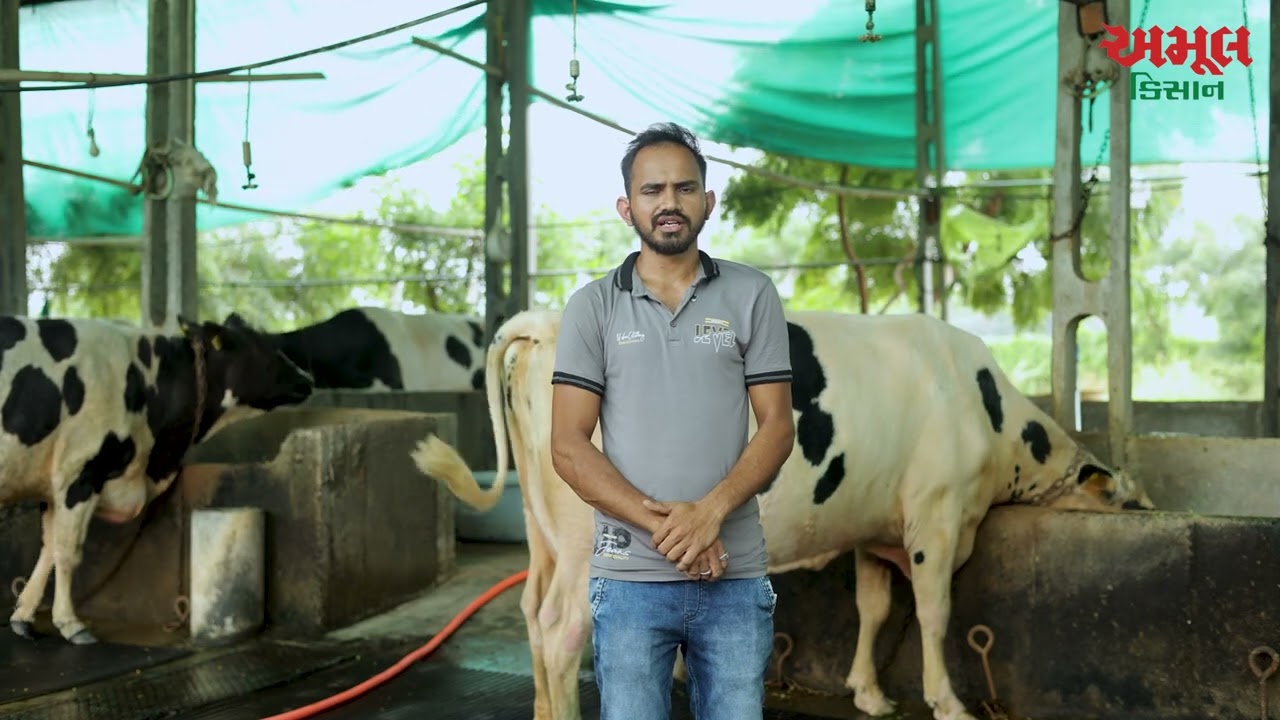 Amul Farmer Stories | Patel Dashrathbhai Prahladbhai | Mehsana