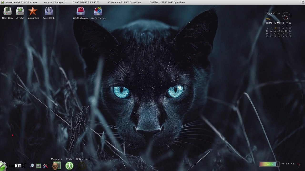 CommodoreOS Vision 3.0 and Amikit 12.8 Linux,Amiberry